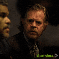 Episode 4 Showtime GIF by Shameless