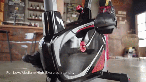 HARISONFITNESS giphygifmaker GIF