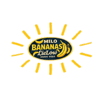 Lielow Fruit Sticker by LieLowMusicFest