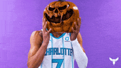 Halloween Nba GIF by Charlotte Hornets
