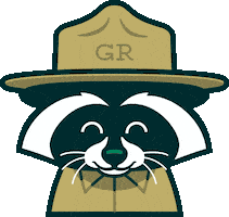 Blink Go Sticker by The Raccoon Club
