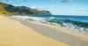 The Beach Summer GIF
