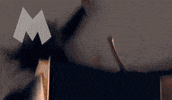 Fight Comedy GIF by Dead Meat James