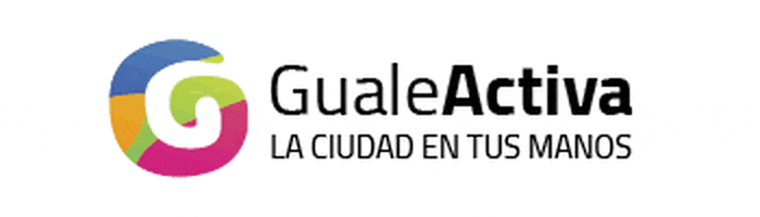 gualeguaychu giphyupload GIF