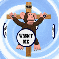 Wasnt Me GIF