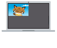 Work From Home Cat Sticker by AppExchange