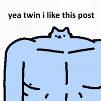 Spainnubcat GIF