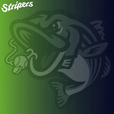 GoStripers giphyupload single gwinnett stripers GIF