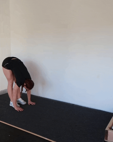 megsquats giphyupload GIF