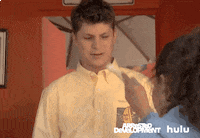 arrested development fox television classics GIF by HULU