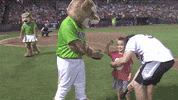 minor league baseball superhero GIF by Kane County Cougars