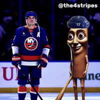 Hockey Nhl GIF