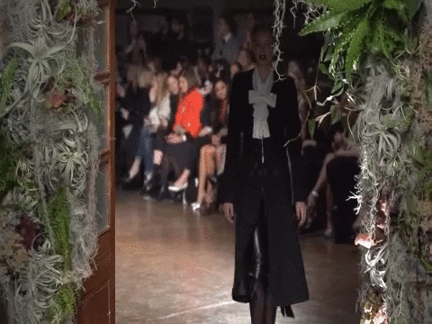 GIF by Great GIFs