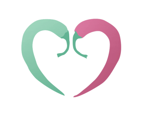 Beducated giphyupload heart food hearts Sticker
