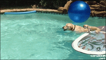 onward GIF