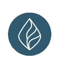 Leaf Lp Sticker by The Pentecostals
