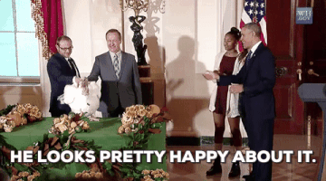 turkey pardon GIF by Obama