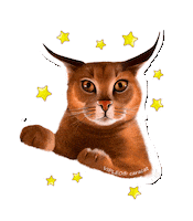 VIPLEO cat котенок cattery питомец Sticker
