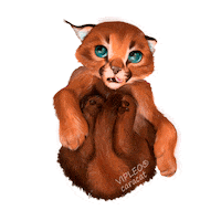Cat Котенок Sticker by VIPLEO® is the cattery founder of legal caracats.