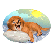 Cat Котенок Sticker by VIPLEO® is the cattery founder of legal caracats.
