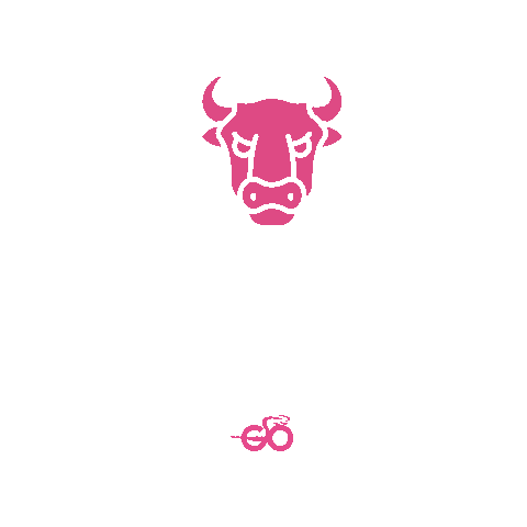 Ciclismo Giro Sticker by Go Rigo Go