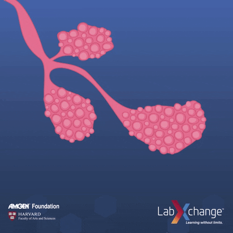 labxchange giphyupload science cancer biology GIF