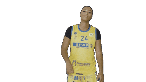 CBislascanarias richardson spargrancanaria cbic reigan Sticker