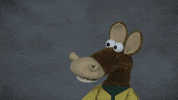 Copa Cavalinhos GIF by TV Globo