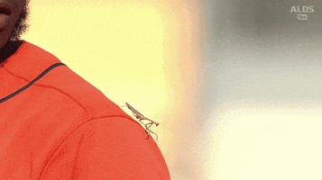 Houston Astros Baseball GIF by Jomboy Media
