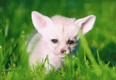 ab25 giphyupload GIF