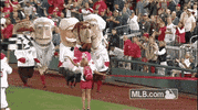 washington nationals baseball GIF by MLB