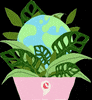 Commaperiods nature earth organic leaves GIF