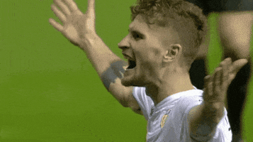 Football Celebrating GIF by Leeds United