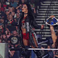 Wwe Raw GIF