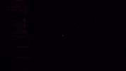 GenieInteractive horror spooky video game stop GIF