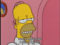 homer simpson episode 6 GIF