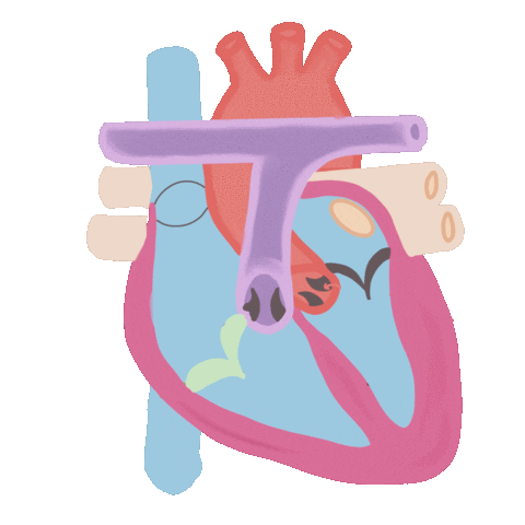 Heart Sticker