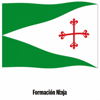 Bandera Sevilla GIF by Formación Ninja