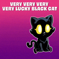 Black Cat Good Luck GIF by VeeFriends