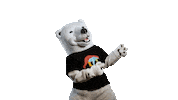 Bear Bet Sticker by Coolbet Chile