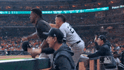 New York Yankees Sport GIF by MLB