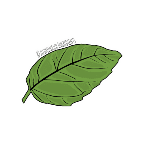 IlluminatedIngredients  Sticker