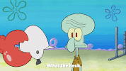 season 9 episode 13 GIF by SpongeBob SquarePants