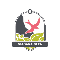 Clifton Hill Canada Sticker by Niagara Parks