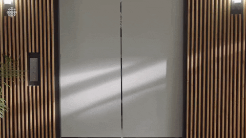 Baroness Von Sketch Show Cbc GIF