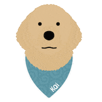 Goldenboikai Sticker