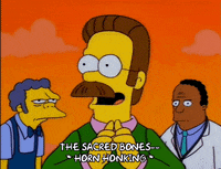 season 9 ned flander GIF