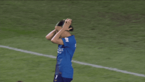 Womens Soccer Ugh GIF by National Women's Soccer League