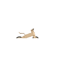 Bicycle Hide Sticker by Choppy bike