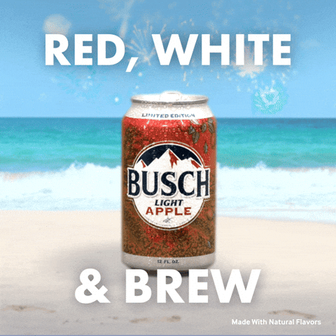 4Th Of July Busch Light GIF by Busch Beer